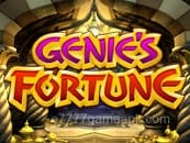 Genie's Fortune
